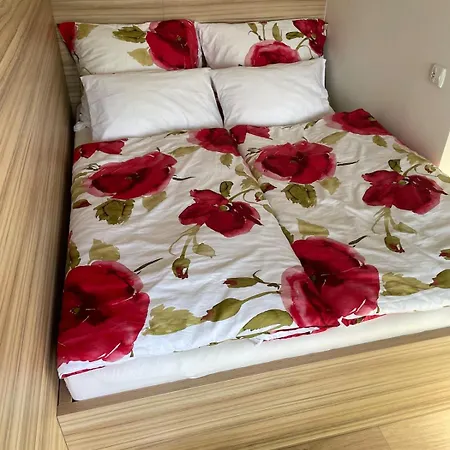 Apartment Cozy Close To The Center *